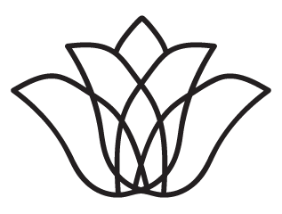 My Odyssey with Cancers